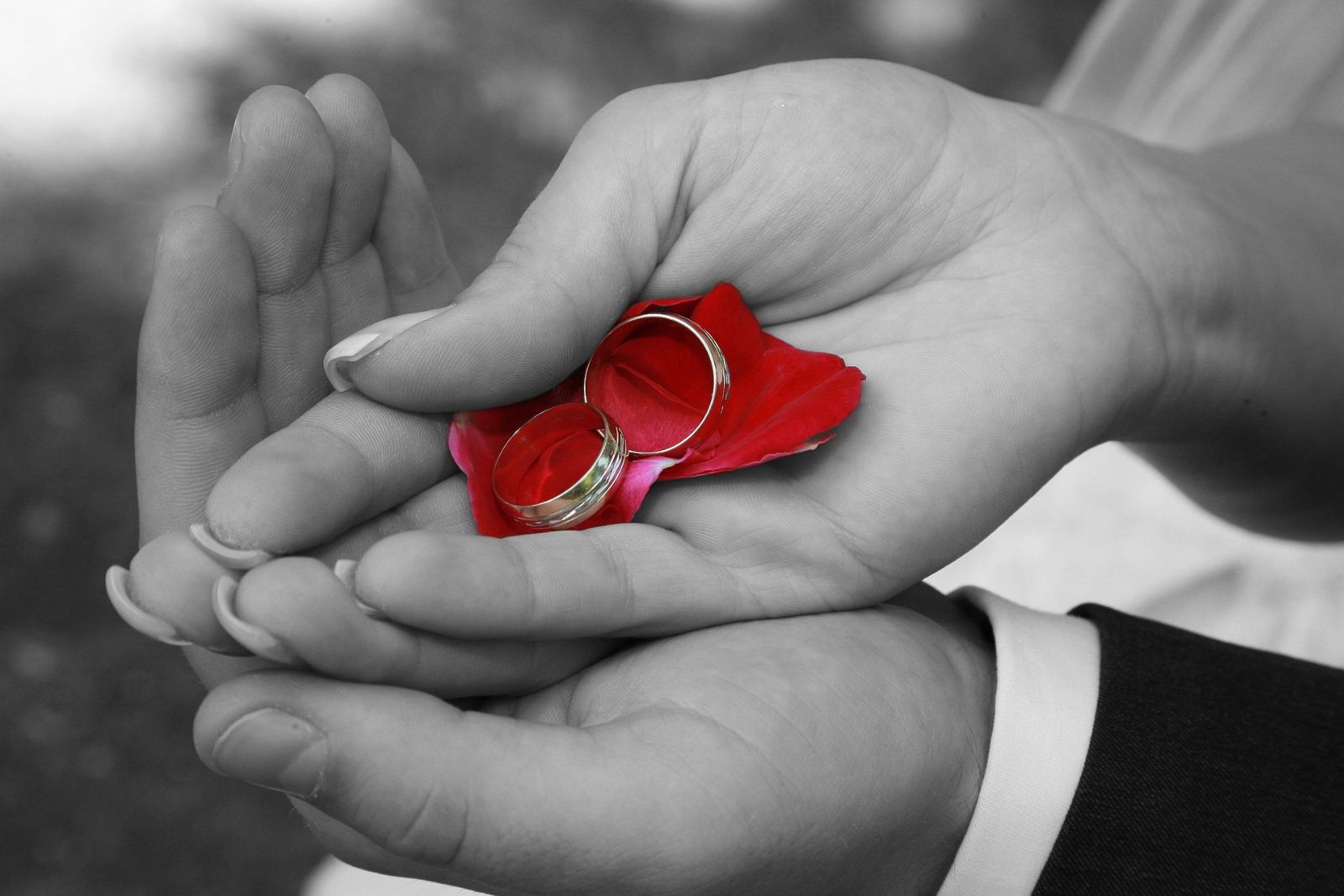 Hands holding two wedding rings resting on a red rose petal for a Ring Warming Ceremony